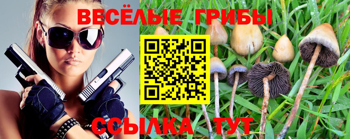 Галлюциногенные грибы мицелий  Вход с VPN  Кизилюрт  Галлюциногенные грибы ЛСД 