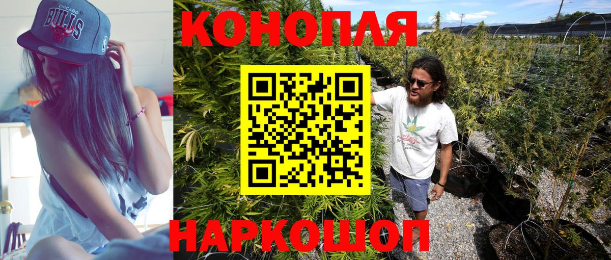 Марихуана тримм Кизилюрт